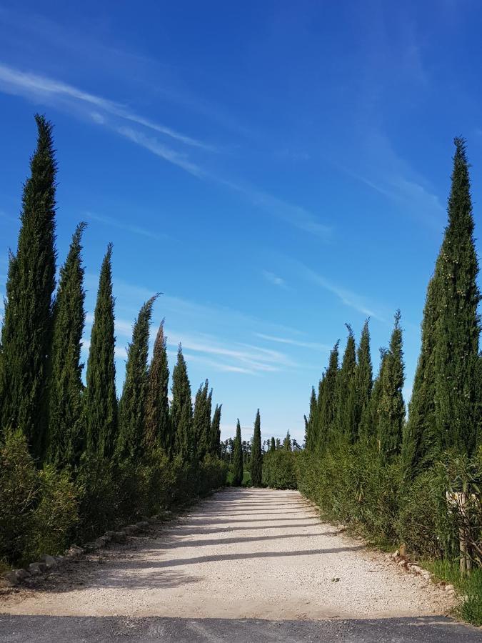 Le Mas De Paulette Mezoargues Bagian luar foto